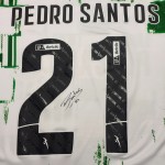 Branco/Verde
