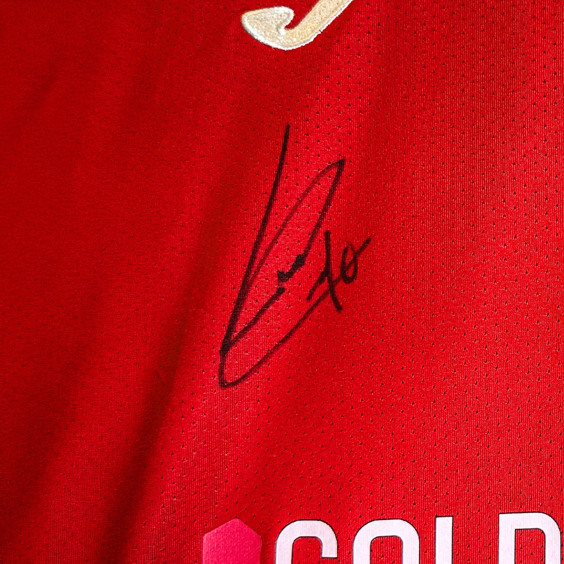 Camisola Principal Autografada Gil Vicente - L. Esteves 10