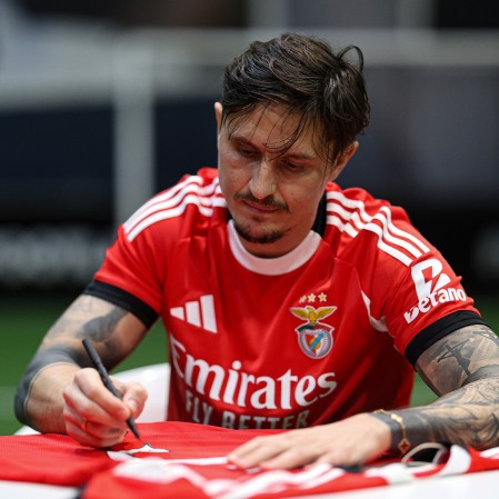 Camisola Principal Autografada SL Benfica - Fejsa 5