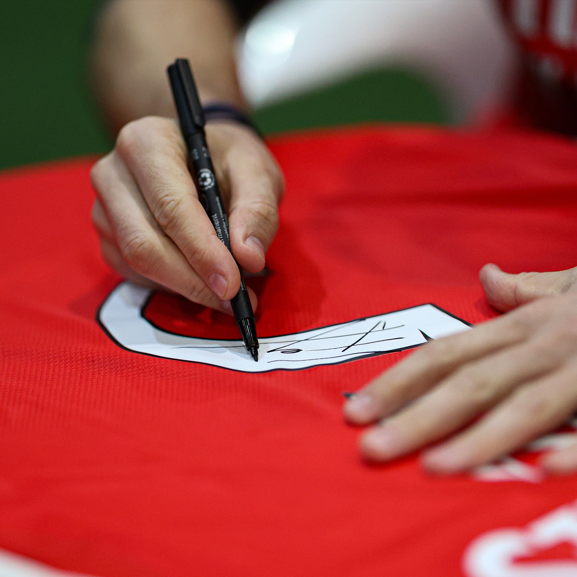 SL Benfica Autographed Home Jersey - Fejsa 5