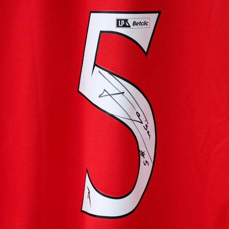Camisola Principal Autografada SL Benfica - Fejsa 5